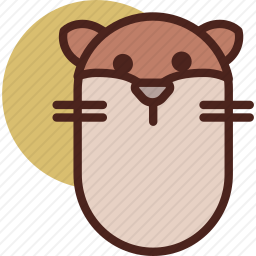 水獭