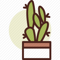 <em>仙人掌</em>