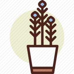 植物