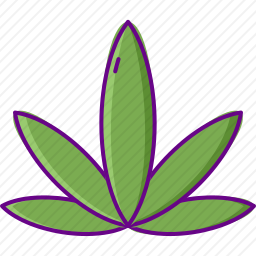 大麻