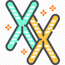 <em>染色体</em>