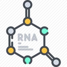 RNA