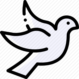 <em>鸽子</em>