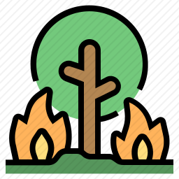 <em>森林</em><em>火灾</em>