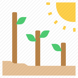 植物