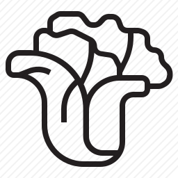 <em>生菜</em>