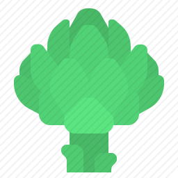 <em>朝鲜蓟</em>