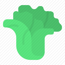 <em>生菜</em>