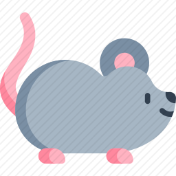 鼠标
