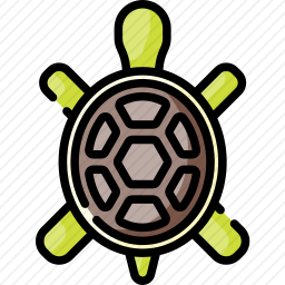 <em>乌龟</em>