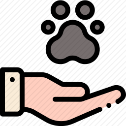 <em>宠物</em>