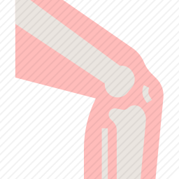 膝