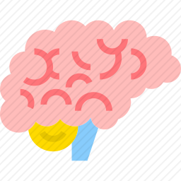 脑