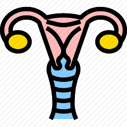 子宫