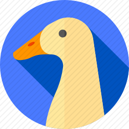 鸭子