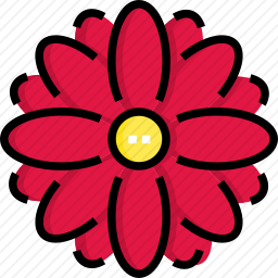 大连花瓣
