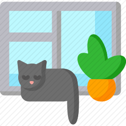 猫