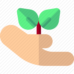 萌芽