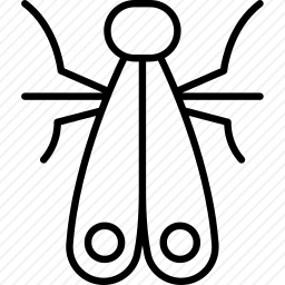 果蝇