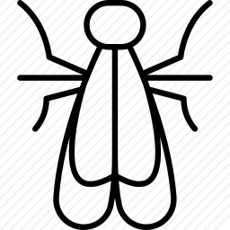 房子蛾
