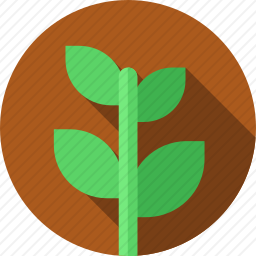 植物