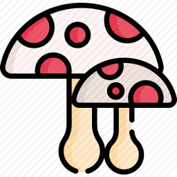 蘑菇