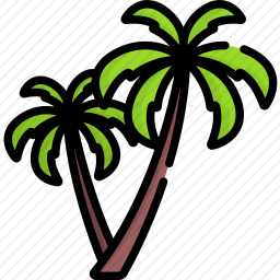 <em>棕榈树</em>
