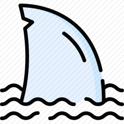 <em>鲨鱼</em>