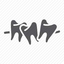 <em>牙齿</em>