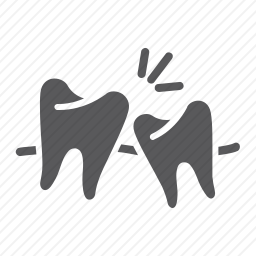 <em>牙齿</em>