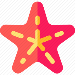 海星