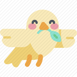 鸽子