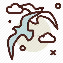 海鸥