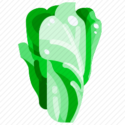 白菜