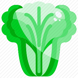 <em>生菜</em>