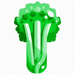 <em>芹菜</em>