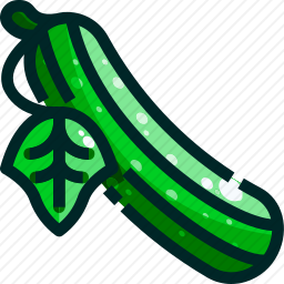 黄瓜