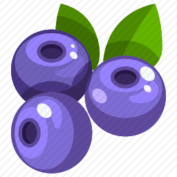<em>蓝莓</em>