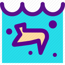 海