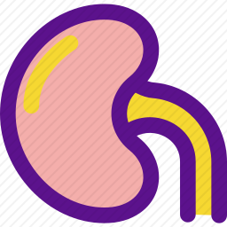 肾