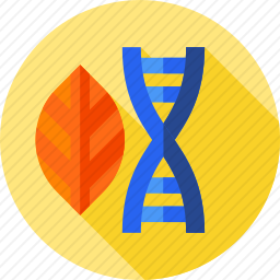 DNA