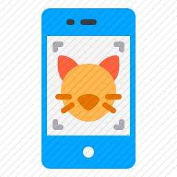 猫图片