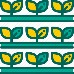 种植