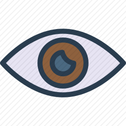 <em>眼睛</em>