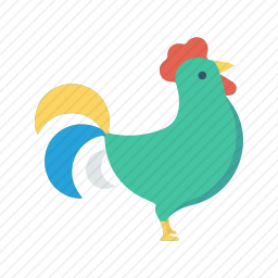 鸡