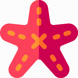 海星