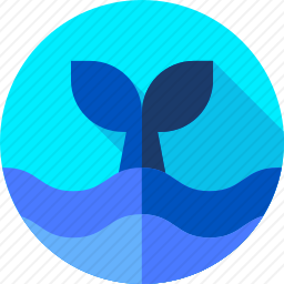 <em>鲸鱼</em>