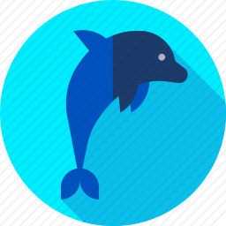 海豚