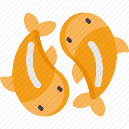 锦鲤