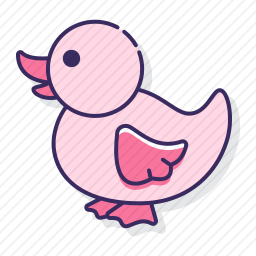 鸭子